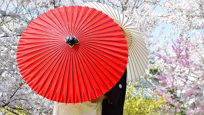 完全個室の結婚相談所